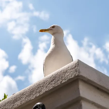 דירה Aristocratic 2bdrm *