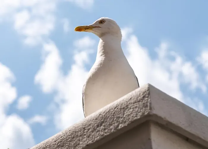 Daire Aristocratic 2bdrm *